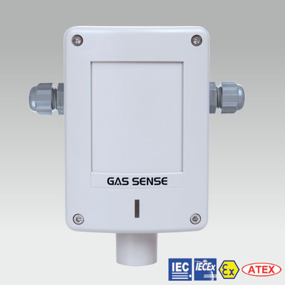 Gas Sense GS-300.N-2